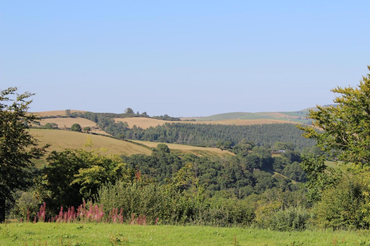 Treberfedd Farm Cottages And Cabins 람피터 외부 사진