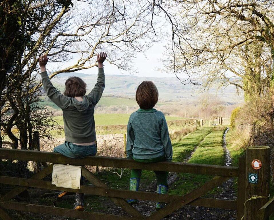 Treberfedd Farm Cottages And Cabins 람피터 외부 사진