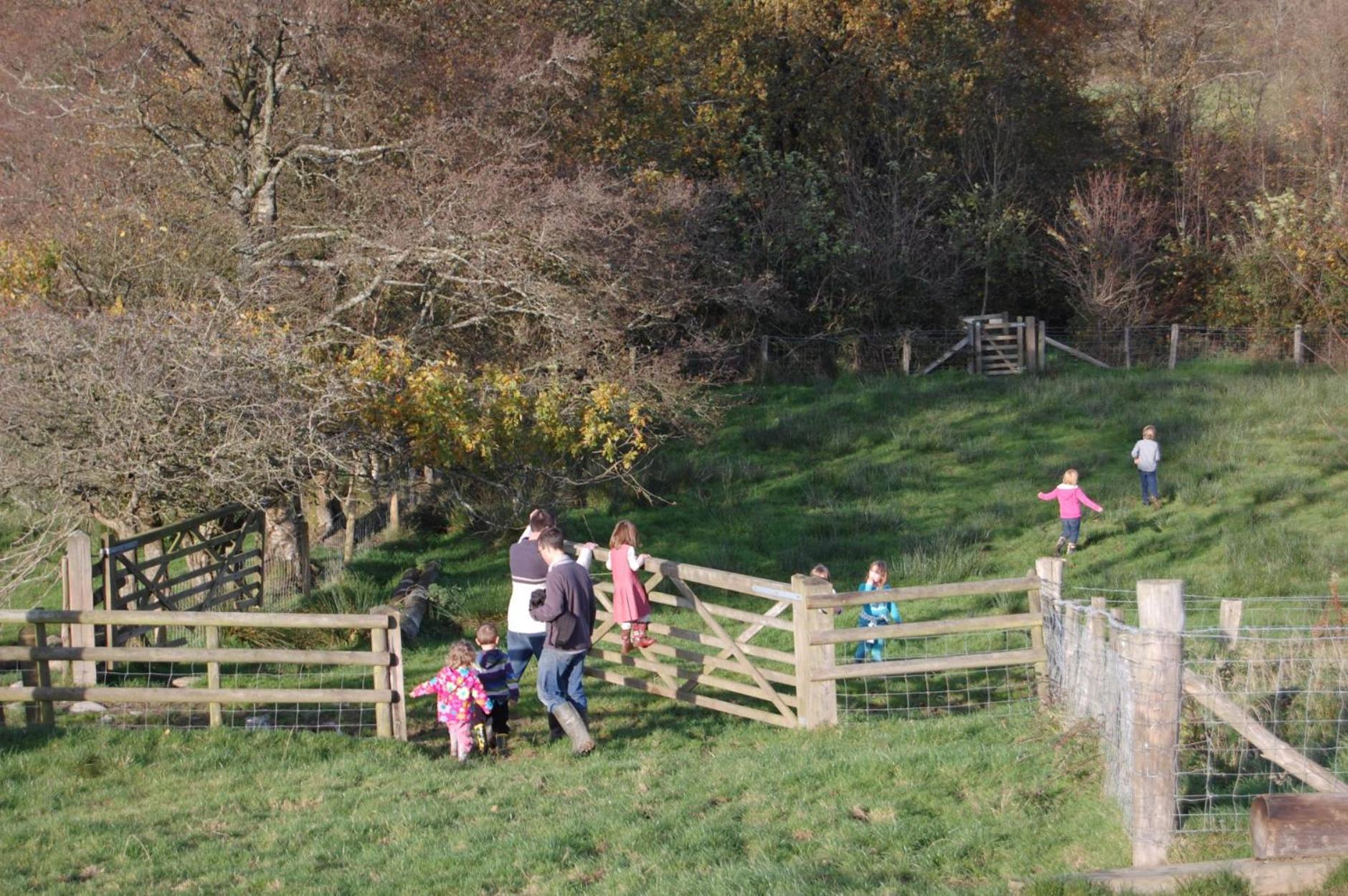 Treberfedd Farm Cottages And Cabins 람피터 외부 사진